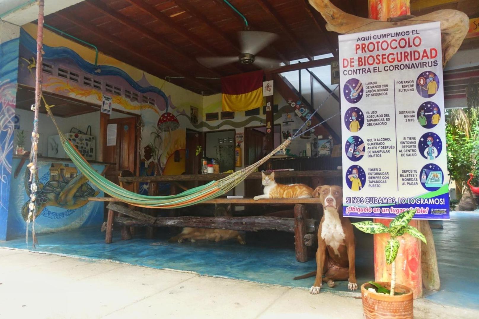 Casa Surf Mar Azul Hotel Palomino Exterior photo